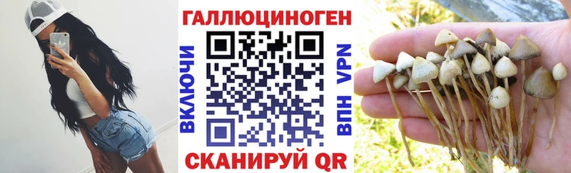 KRAKEN маркетплейс  Приморско-Ахтарск  Псилоцибиновые грибы прущие грибы 