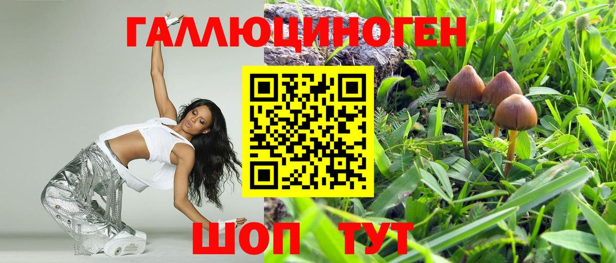Псилоцибиновые грибы Psilocybine cubensis Приморско-Ахтарск