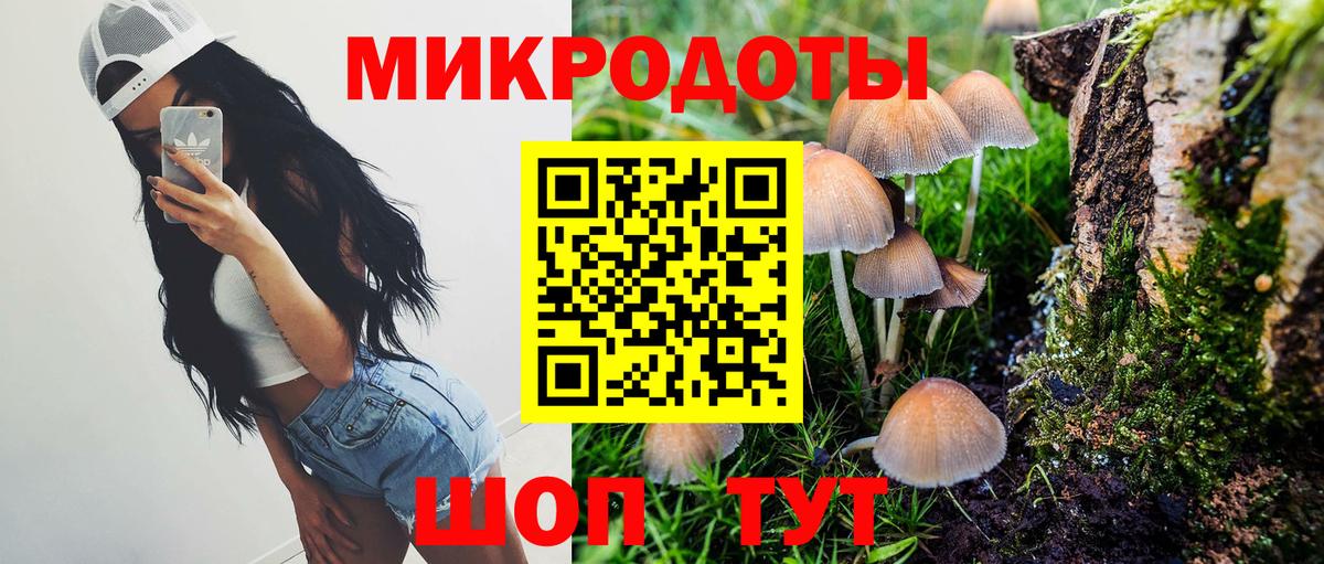 наркошоп  Вход с VPN  Приморско-Ахтарск  Галлюциногенные грибы GOLDEN TEACHER 