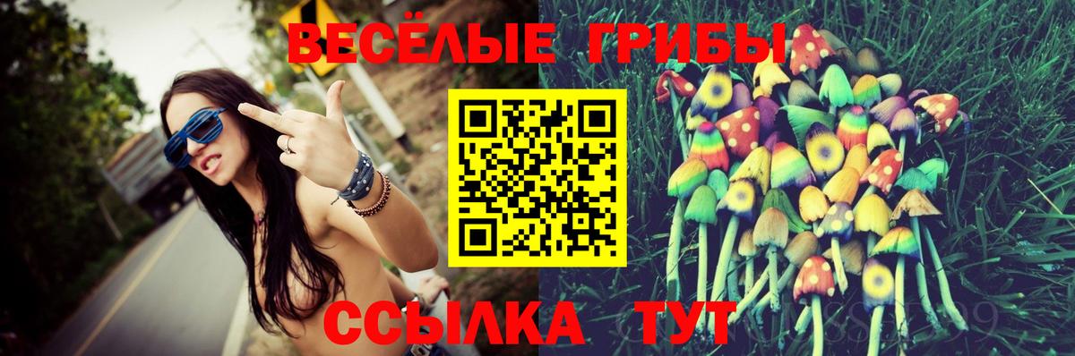APVP СОЛЬ   Канабис  Приморско-Ахтарск  Мефедрон   Гашиш  NBOMe  Вход с VPN  ГАШ  Экстази 