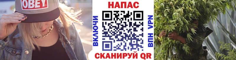 продажа наркотиков  Приморско-Ахтарск  Конопля сатива 